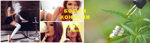 сатива Россошь
