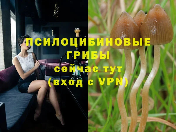стаф Протвино