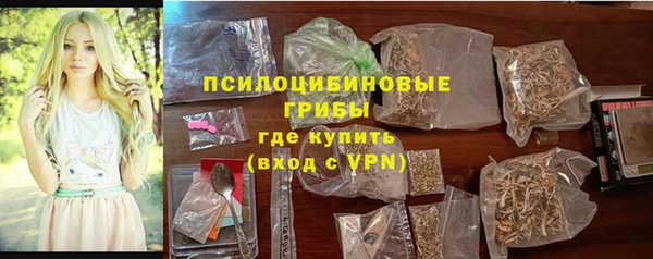 сатива Россошь