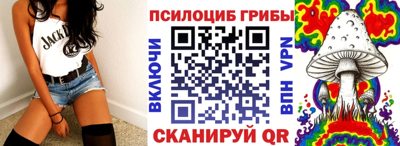 Галлюциногенные грибы Psilocybe  магазин продажи наркотиков  Будённовск 